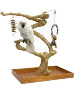 Parrot Foot Supplies