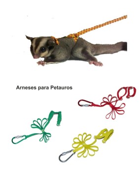 Accesorios para Roedores y Hurones: Comodidad y Bienestar